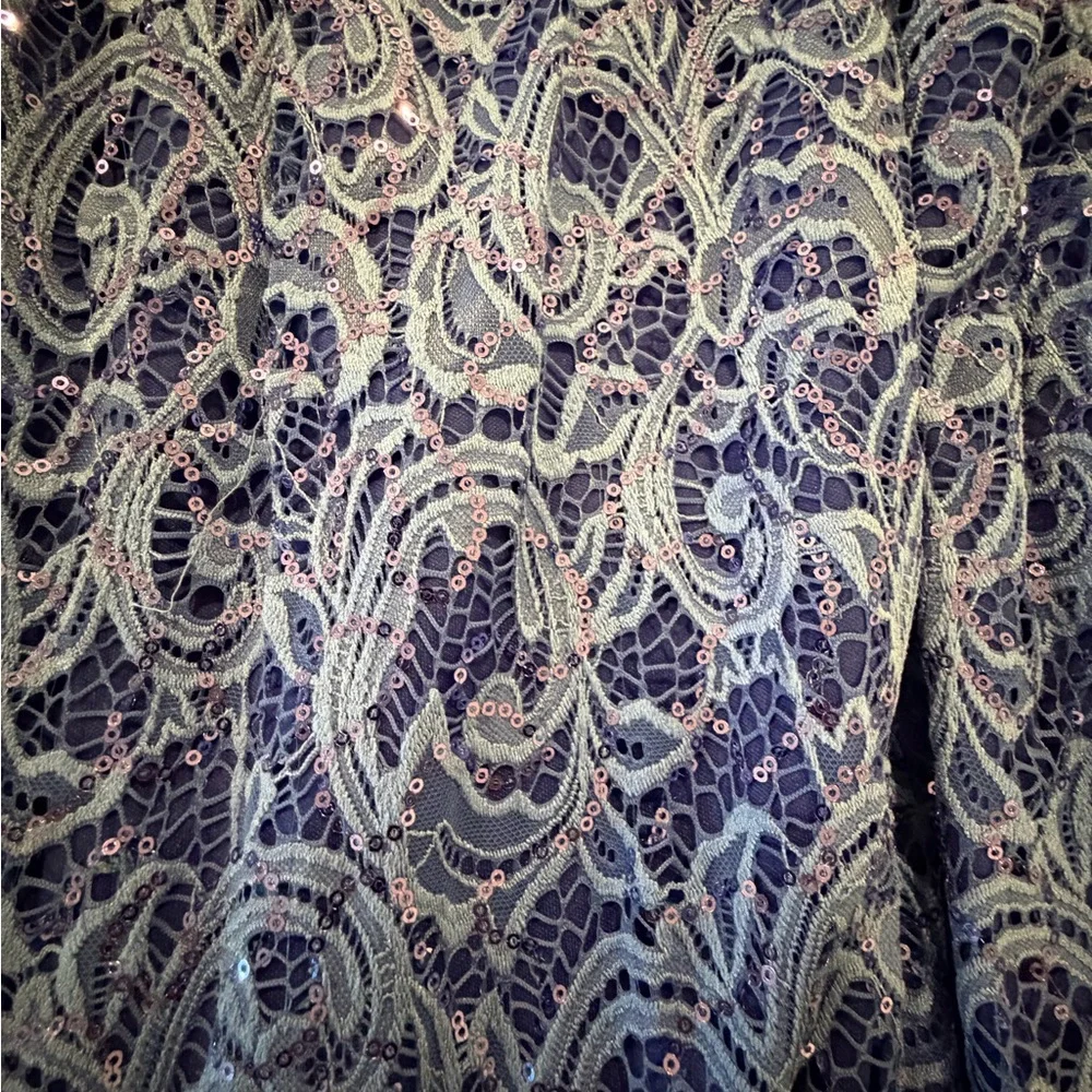 Elegant Blue Lace Dress - Picture 3 of 3